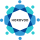 Horovod Training in Saudi Arabia
