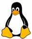 Embedded Linux Training in Saudi Arabia