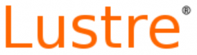 Lustre Training in Saudi Arabia