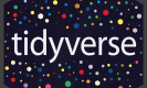 Tidyverse Training in Saudi Arabia
